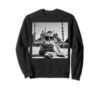 Türkiye Cat At The Blue Mosque And Sultan Ahmed Mosque Sweatshirt