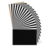 Tuesoa 33 Piece White and Black Heat Transfer Vinyl T-Shirt HTV White Iron on Vinyl 12x10Inch