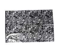 Tuesoa Hydrographic Film - Water Transfer Printing - Hydro Dipping - Rolling - 1 Meter