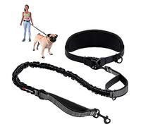 Tuff Pupper Heavy Duty Hands Free Dog Leash | One Small/Medium Dog Up to 45 lbs | Comfortable Shock Absorbing Bungee | Reflective Padded Handles | Lumbar Waist Belt 22-45" | Jogging Running Leash
