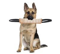 Tug Of War Dog Toy, Dogs Jute Bite Resistant Pillow Dog Tug Toy Tether Tug Outdoor Dog Toy Lasting Training Equipment Puppy to Large Dogs Interactive Toy for Medium to