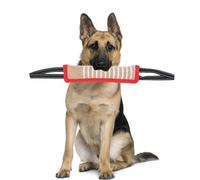 Tug Of War Dog Toy, Dogs Jute Bite Resistant Pillow Dog Tug Toy Tether Tug Outdoor Dog Toy Lasting Training Equipment Puppy to Large Dogs Interactive Toy for Medium to