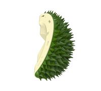 Tug Toys For Dogs Dally The T I C K L E Comb To R E M O V The Floating F U R Cat Corner Grinding Teeth Slow Eating Pet Supplies From High Bored Cat Dally T I C K L Toys For (Green, One Size)