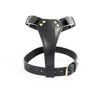 TUGBY XS/S/M/L/XL/XXL Dog Leather Harness Sets with Matching Dog Lead (Brown, L)
