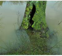 Tugny Emmanuel - Les Vari?T?S