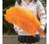 TUITA 10pcs White Large Ostrich Feather 15-55cm for Wedding Party Carnival Decoration Natural Ostrich Feathers Crafts DIY Accessories