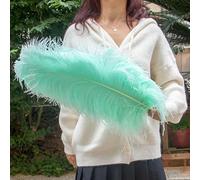 TUITA 10pcs White Large Ostrich Feather 15-55cm for Wedding Party Carnival Decoration Natural Ostrich Feathers Crafts DIY Accessories