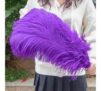 TUITA 10pcs White Large Ostrich Feather 15-55cm for Wedding Party Carnival Decoration Natural Ostrich Feathers Crafts DIY Accessories