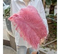 TUITA 10pcs White Large Ostrich Feather 15-55cm for Wedding Party Carnival Decoration Natural Ostrich Feathers Crafts DIY Accessories