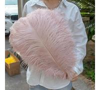 TUITA 10pcs White Large Ostrich Feather 15-55cm for Wedding Party Carnival Decoration Natural Ostrich Feathers Crafts DIY Accessories