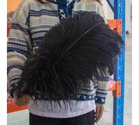 TUITA 10pcs White Large Ostrich Feather 15-55cm for Wedding Party Carnival Decoration Natural Ostrich Feathers Crafts DIY Accessories