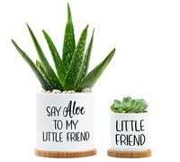 Tuitessine Say Aloe to My Little Friend Planter Plant Lover Set of 2 Spring Funny Pun Flower Pot with Bamboo Tray Ceramic Indoor Succulent Hole Spring Birthday Housewarming Gifts (No Plants)