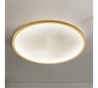 Tula Gold Trim LED Surface Mount Ceiling Light Bulkhead IP44 White Opal 4000k CGC Lighting Gold One Size