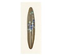 Tulip Aosora glass-head pin 1 piece blue, white and silver heads