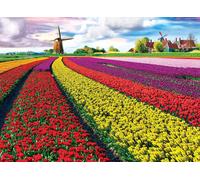 EG60005326 - Eurographics Puzzle 1000 Pc - Tulip Fields Netherlands