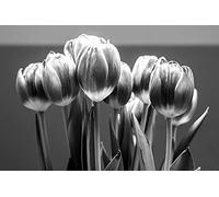 Tulip Flower Pattern Puzzle,Adult Puzzle,Paper Puzzle,1000 Piece Puzzle for Adults38x52cm