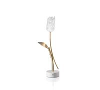 Tulip Portable Lamp Transparent/ White Base