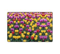Tulip -Print Flannel Area Rugs 36x24 Inch & 72x48 Inch with Memory Foam for Living Room Office Bedroom Non Slip Base.