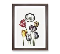 Tulips By Robert John Thornton Vintage Framed Print | A2 Walnut Framed Wall Art | Ready to Hang | Classic Nature Picture | Living Room Bedroom Lounge Office