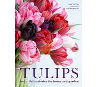 Tulips – The ultimate guide for growing and cutting flower varieties for the home and garden
