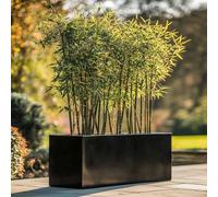 Tulipy 1.2m/1m/75cm/70cm Zinc Galvanised Trough Planter | No Assembly Needed | Lightweight (Platinum Black, L100cm x W40cm x H40cm)