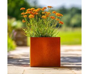 Tulipy 60/50/40cm Corten Steel Square Planter | Pre Rusted | Flatpacked | Easy To Assemble | No Fixings Needed (L40cm x W40cm x H40cm)