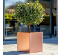 Tulipy 60cm/50cm/40cm/30cm Zinc Galvanised Square Planter | No Assembly Needed | Lightweight (Rose Gold, L60cm x W60cm x H60cm)
