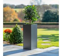 Tulipy Zinc Galvanised Tall Square Planter | No Assembly Needed | Lightweight (Matte Grey, L32cm x W32cm x H75cm)