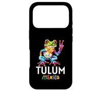 Tulum Mexico/Tulum Case for iPhone 17 Pro