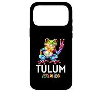 Tulum Mexico/Tulum Case for iPhone 17 Pro Max