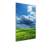 Tulup Glass Print Wall Art 50x100cm Image printed on Glass Decorative Wall Picture behind Toughened/Tempered Safety Real Glass for Kitchen & Living Room Theme: Clouds over the field
