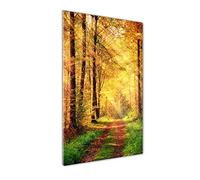 Tulup Glass Print Wall Art 50x100cm Image printed on Glass Decorative Wall Picture behind Toughened/Tempered Safety Real Glass for Kitchen & Living Room Theme: Autumn forest