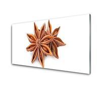 Tulup Glass Splashback for Kitchen - 39.4 in x 19.7 in / 100x50 cm - Cooker Wall Protection Tempered Glass - Cinnamon Floral