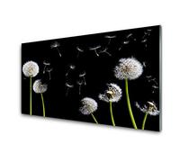Tulup Glass Splashback for Kitchen - 39.4 in x 19.7 in / 100x50 cm - Cooker Wall Protection Tempered Glass - Dandelions Floral