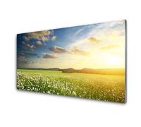 Tulup Glass Splashback for Kitchen - 39.4 in x 19.7 in / 100x50 cm - Cooker Wall Protection Tempered Glass - Meadow Flowers Landscape
