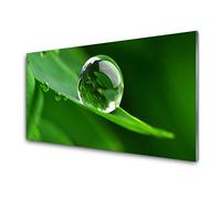 Tulup Glass Splashback for Kitchen - 39.4 in x 19.7 in / 100x50 cm - Cooker Wall Protection Tempered Glass - Leaf Water Droplets Floral