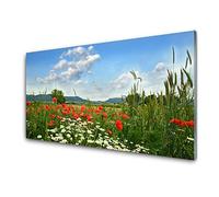 Tulup Glass Splashback for Kitchen - 39.4 in x 19.7 in / 100x50 cm - Cooker Wall Protection Tempered Glass - Meadow Flowers Nature