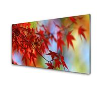 Tulup Glass Splashback for Kitchen - 39.4 in x 19.7 in / 100x50 cm - Cooker Wall Protection Tempered Glass - Leaves Nature