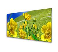 Tulup Glass Splashback for Kitchen - 39.4 in x 19.7 in / 100x50 cm - Cooker Wall Protection Tempered Glass - Meadow Flowers Rainbow Nature