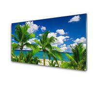 Tulup Glass Splashback for Kitchen - 39.4 in x 19.7 in / 100x50 cm - Cooker Wall Protection Tempered Glass - Sea Palm Trees Landscape