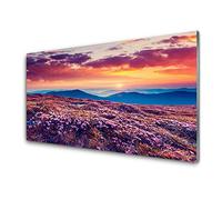 Tulup Glass Splashback for Kitchen - 39.4 in x 19.7 in / 100x50 cm - Cooker Wall Protection Tempered Glass - Meadow Mountain Flowers Nature