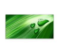 Tulup Glass Splashback for Kitchen - 47.3 in x 23.6 in / 120x60 cm - Cooker Wall Protection Tempered Glass - Leaf Water Droplets Floral