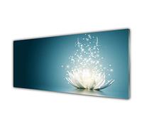 Tulup Glass Splashback for Kitchen - 49.2 in x 19.7 in / 125x50 cm - Cooker Wall Protection Tempered Glass - Lotus Blossom Flower Floral
