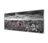 Tulup Glass Splashback for Kitchen - 49.2 in x 19.7 in / 125x50 cm - Cooker Wall Protection Tempered Glass - Meadow Flowers Nature