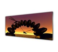 Tulup Glass Splashback for Kitchen - 49.2 in x 19.7 in / 125x50 cm - Cooker Wall Protection Tempered Glass - Dragonflies Stones Art