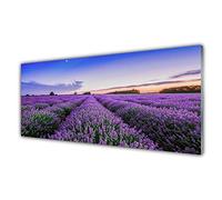 Tulup Glass Splashback for Kitchen - 49.2 in x 19.7 in / 125x50 cm - Cooker Wall Protection Tempered Glass - Meadow Flowers Nature