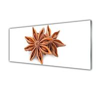 Tulup Glass Splashback for Kitchen - 49.2 in x 19.7 in / 125x50 cm - Cooker Wall Protection Tempered Glass - Cinnamon Floral