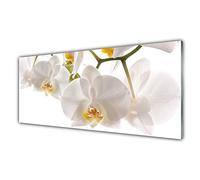 Tulup Glass Splashback for Kitchen - 49.2 in x 19.7 in / 125x50 cm - Cooker Wall Protection Tempered Glass - Flowers Floral
