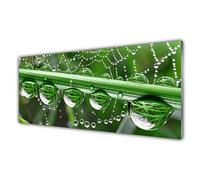 Tulup Glass Splashback for Kitchen - 49.2 in x 19.7 in / 125x50 cm - Cooker Wall Protection Tempered Glass - Spider Web Dewdrops Floral