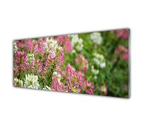 Tulup Glass Splashback for Kitchen - 49.2 in x 19.7 in / 125x50 cm - Cooker Wall Protection Tempered Glass - Flowers Floral